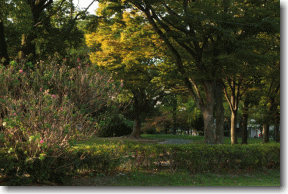 福岡市中央区 
